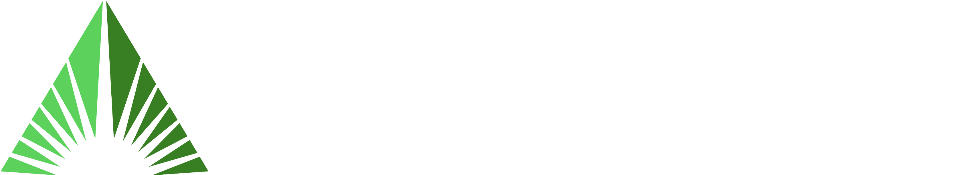 LeasePoint